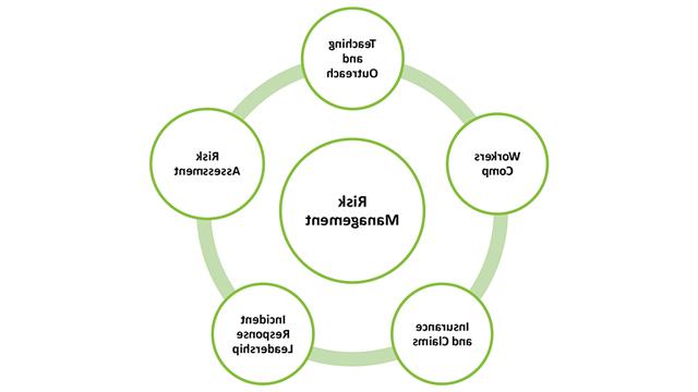 Circular diagram showing risk management components. All information in diagram is on the page.